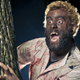 Image for article titled Forever 21 Robbed by Werewolf in Florida, Of Course